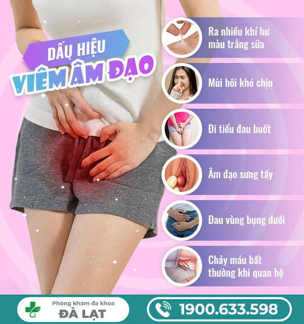NGUYÊN NHÂN DẪN ĐẾN VIÊM TỬ CUNG VÀ CÁCH PHÒNG NGỪA HIỆU QUẢ 